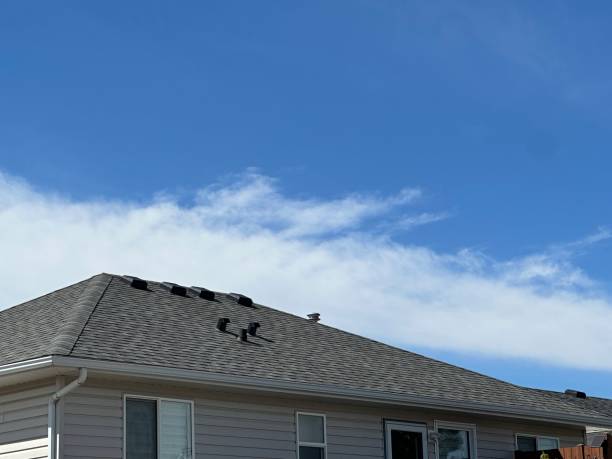 Best Siding  in Mcsherrystown, PA